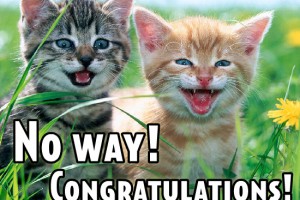 CongratsCats-300x200.jpg (300Ă—200)