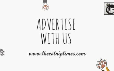 SAMPLE ADVERTISING POST