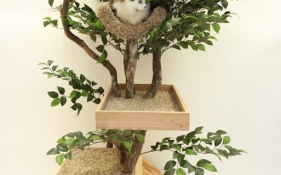 Now THIS is a serious cat tree…