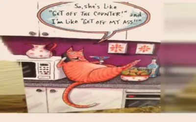 Humor:  Cats at Home