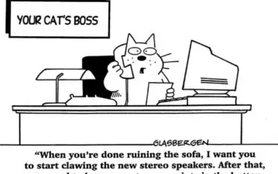 Humor:  This explains it all…