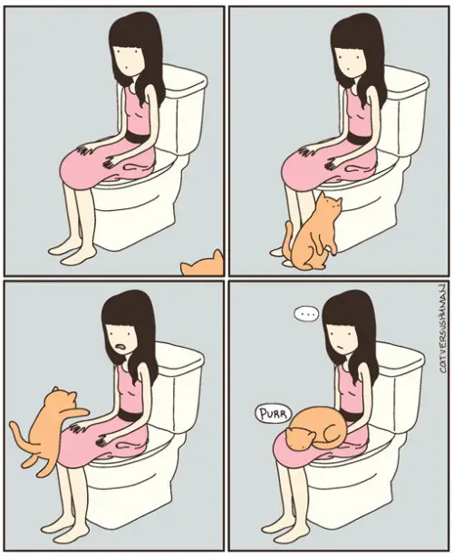 Kitty Potty