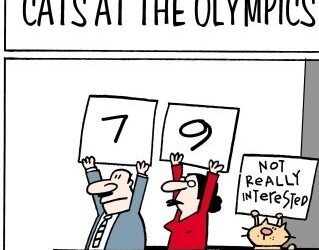 Cats at the Olympics