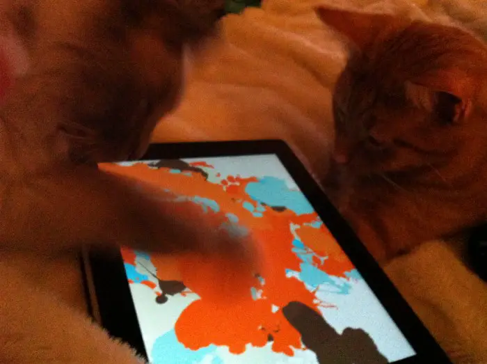 Great Apps for Cats The Catnip Times