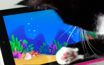 Great Apps for Cats