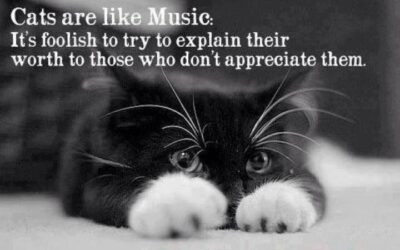 Cats Are Like Music…