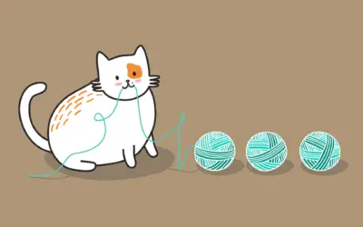 PLAYING WITH STRING – LIZA IS A LAZY CAT