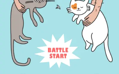 BATTLE START!  LIZA IS A LAZY CAT