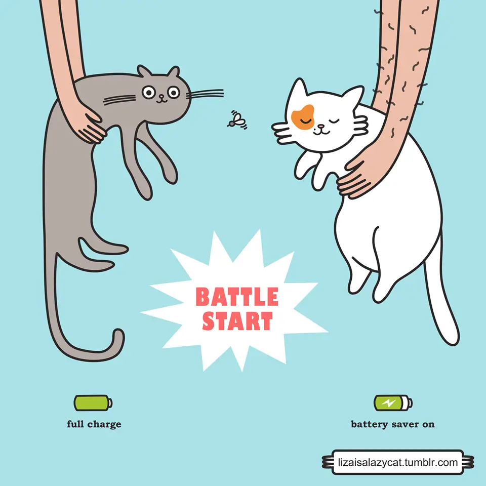 battle-start - liza-is-a-lazy-cat
