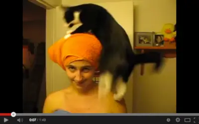 CAT ON OWNER’S HEAD – HUMAN PERCH