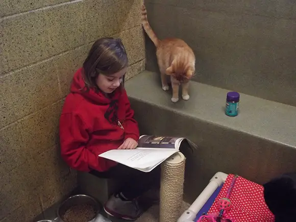 girl reads to shelter cat