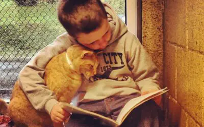 KIDS READ TO SHELTER CATS