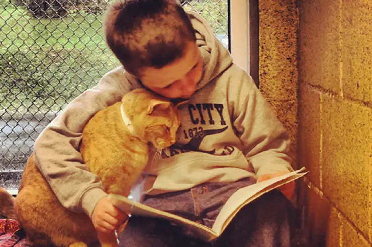 Boy reading to shelter cat