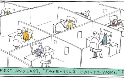 BRING YOUR CAT TO WORK DAY