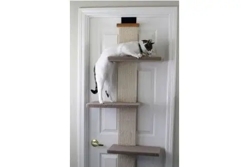 SmartCat Multi-Cat Climber lets cats climb at home