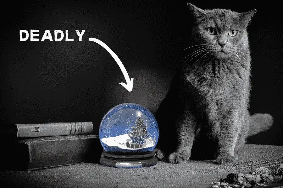 snow globes are deadly to cats