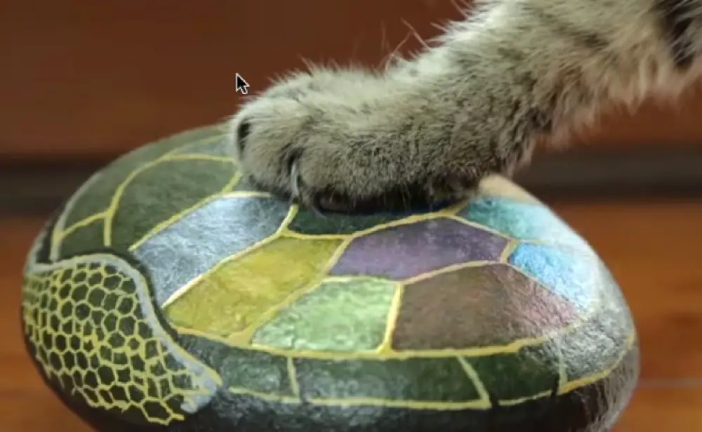 CATS USE UFO TO ESCAPE CAT CARRIER