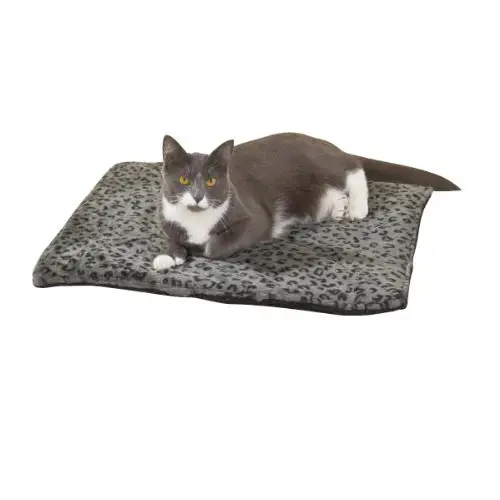 Cat on Self Heating Cat Mat