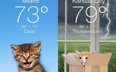 WEATHER KITTY APP