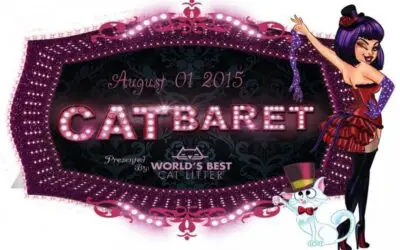CATBARET