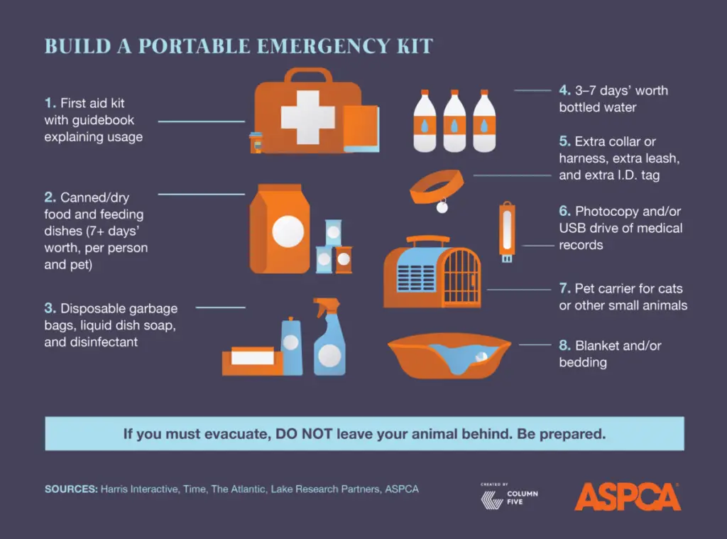 Portable Pet Emergency Kit