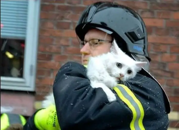 Firefighter-holding-scared-cat