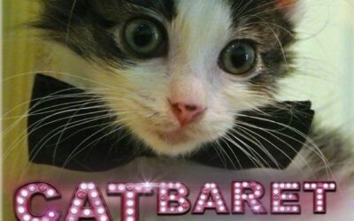 CATBARET VARIETY SHOW HIGHLIGHTS