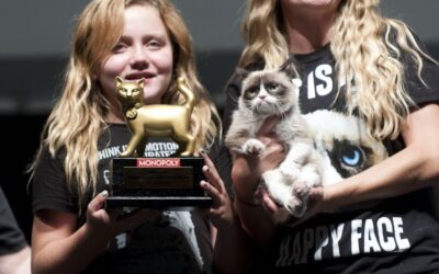 INTERNET CAT VIDEO FESTIVAL NOMINEES 2015