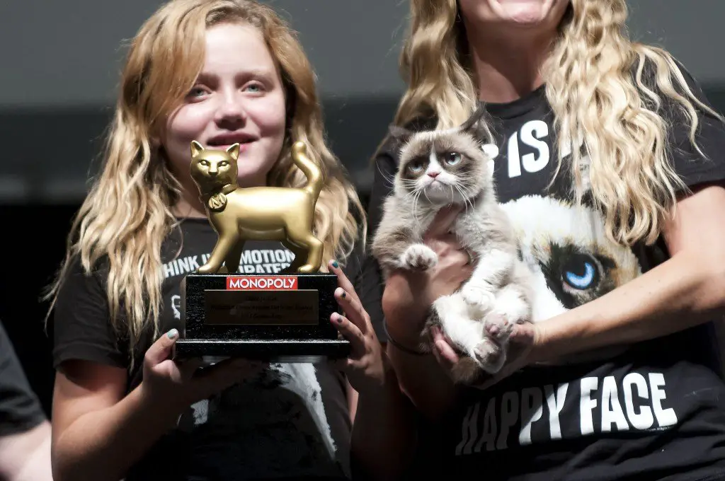 golden kitty award