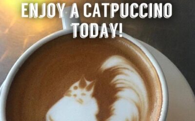 NATIONAL COFFEE DAY WITH CATS