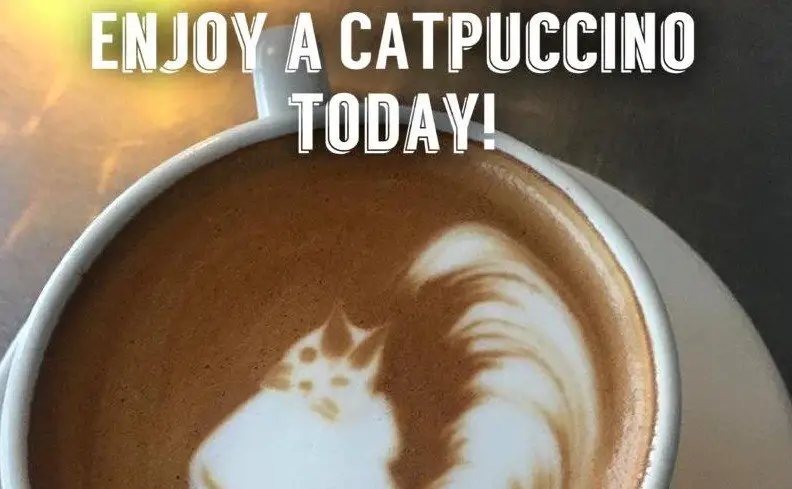 NATIONAL COFFEE DAY WITH CATS