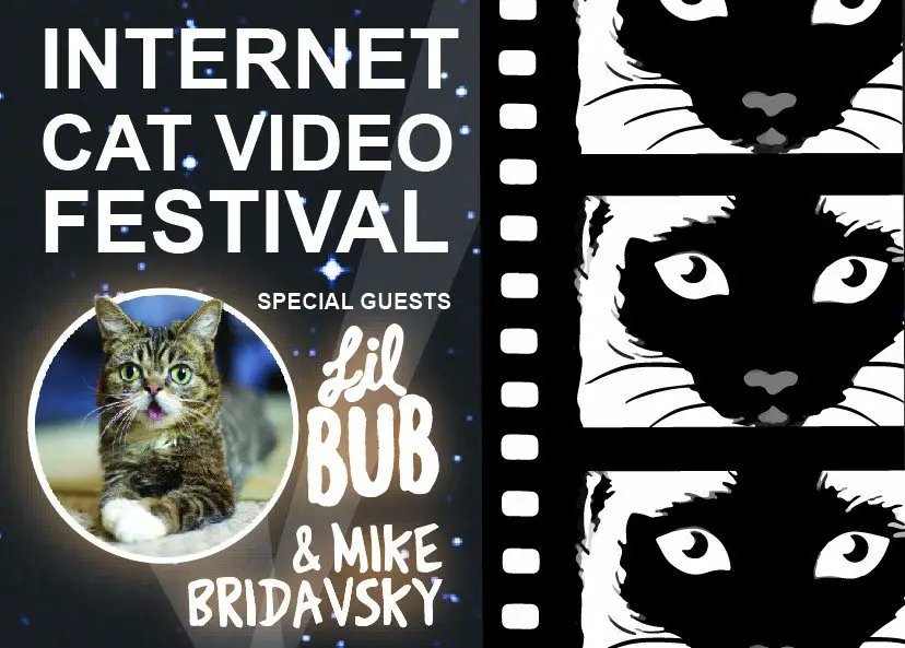 2015-Internet-Cat-Video-Festival