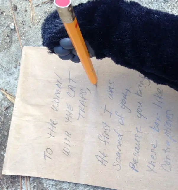 cat paw writing letter to the woman with the traps