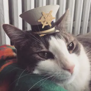tiny hat - boat captain