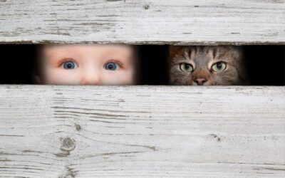 10 INTERESTING FACTS FROM THE PURINA BETTER WITH PETS SUMMIT