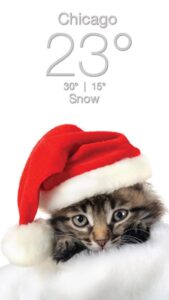 kitten-in-santas-hat