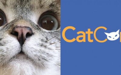 CATCONLA 2016 ANNOUNCED