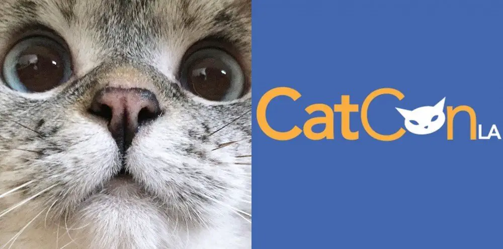 CatConLA 2016 announced with Nala, Pudge and Lil Bub