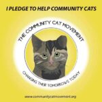 Community Cat Movement Seal