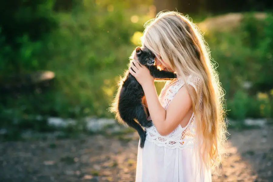 Little girl holding a kitten in her hands, protecting the cat from domestic violence