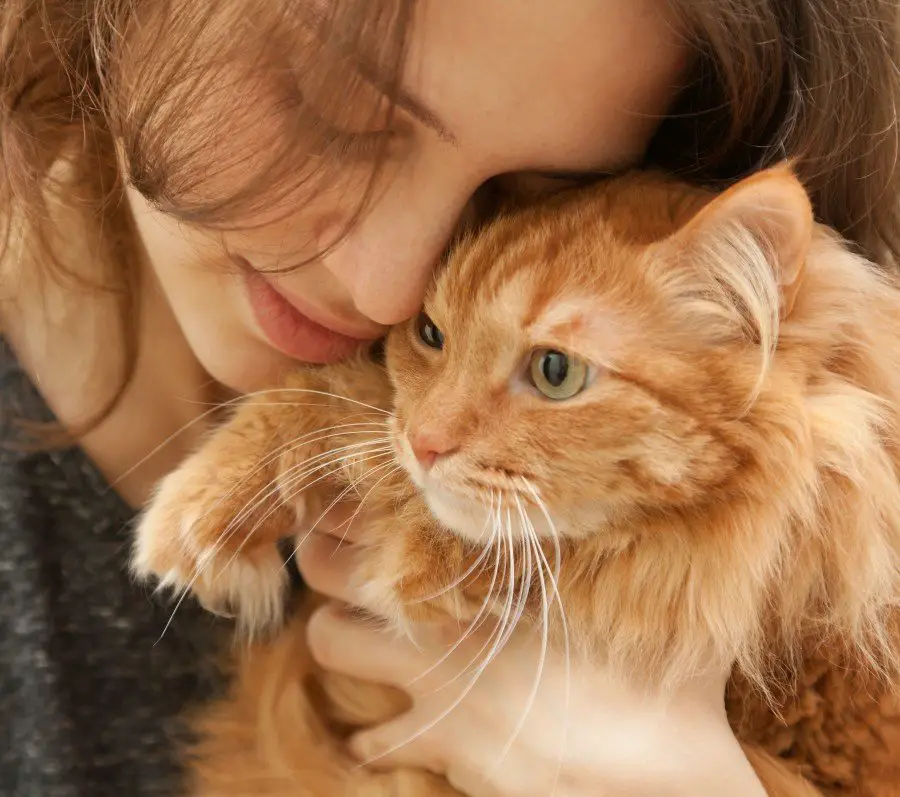 Woman protecting her ginger cat and seeking solace in the cat's company.