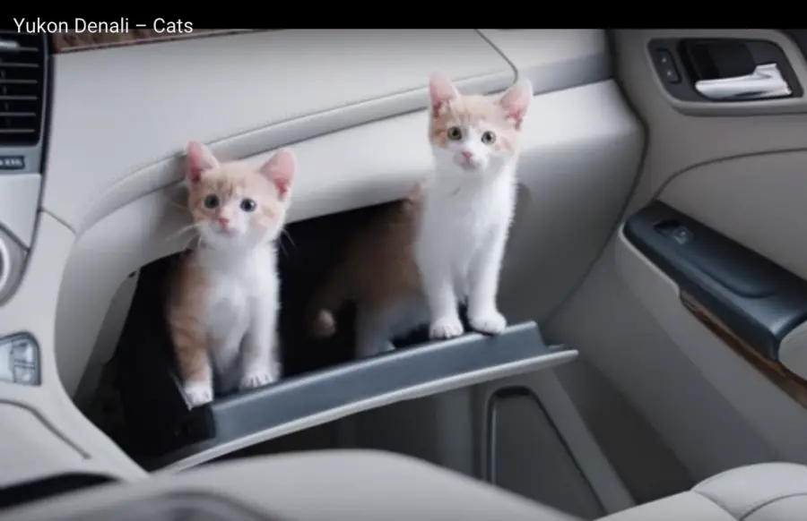 Cat commercial