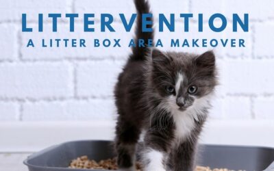 LITTER BOX AREA MAKEOVER