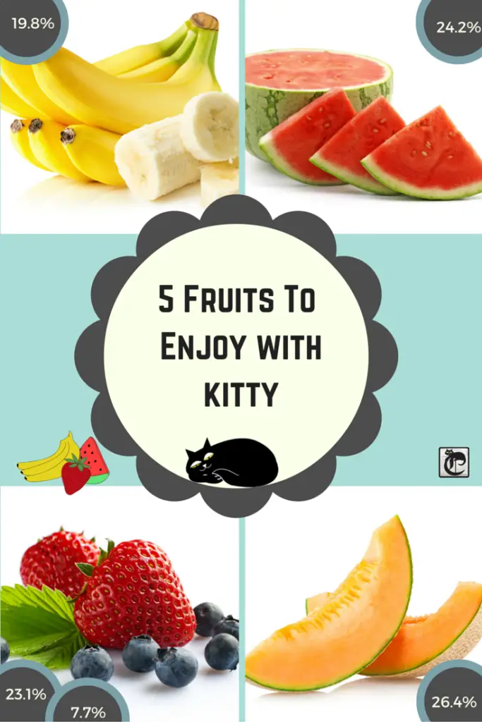 fruits that cats can enjoy