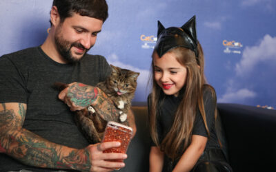 THE BEST OF CATCONLA 2016