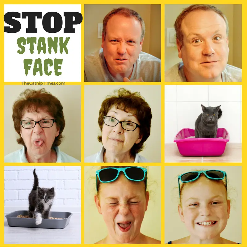 Before and After Stank Face Photos. These are the survivors of Stank Face.