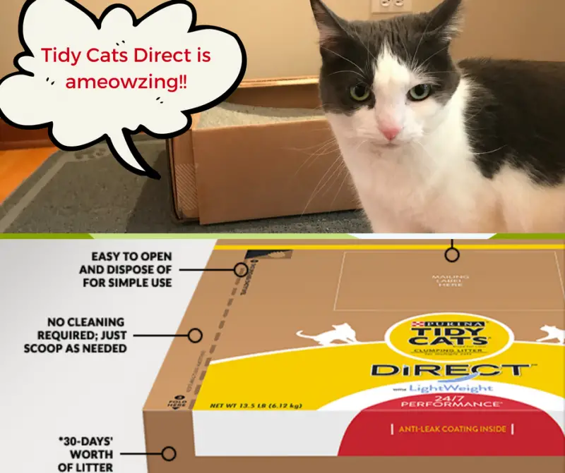 tidy-cats-direct-is-ameowzing
