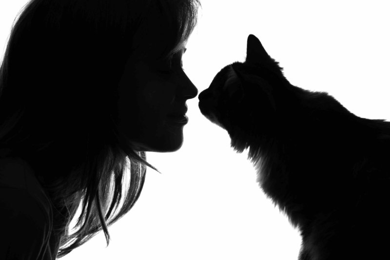 silhouette of woman and her cat