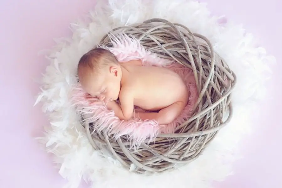 precious newborn baby in a basket