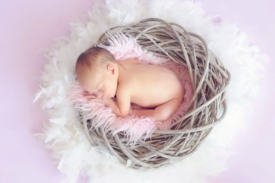 precious newborn baby in a basket of an expectant mother who is also a pet parent to a cat